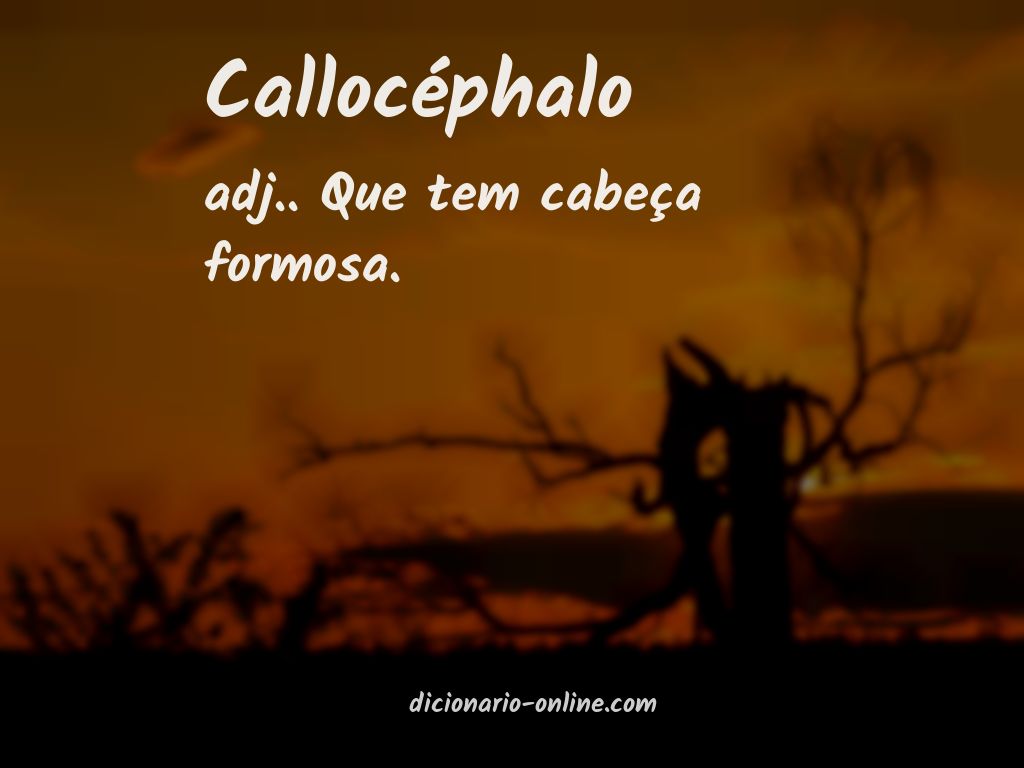 Significado de callocéphalo