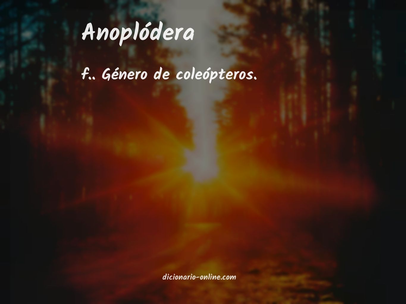 Significado de anoplódera