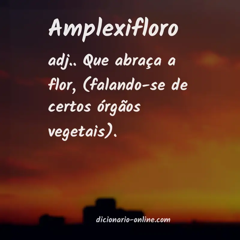 Significado de amplexifloro