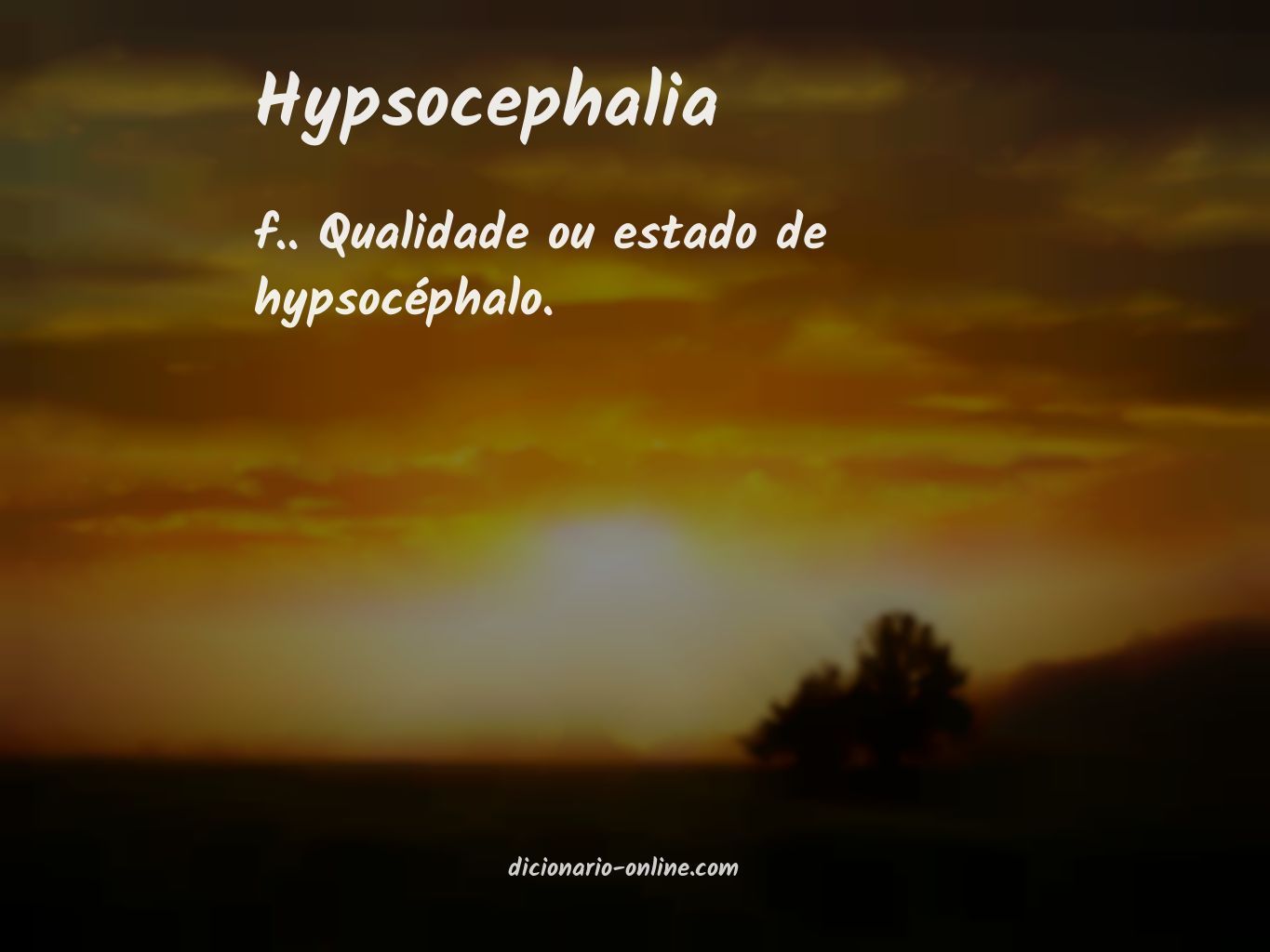 Significado de hypsocephalia
