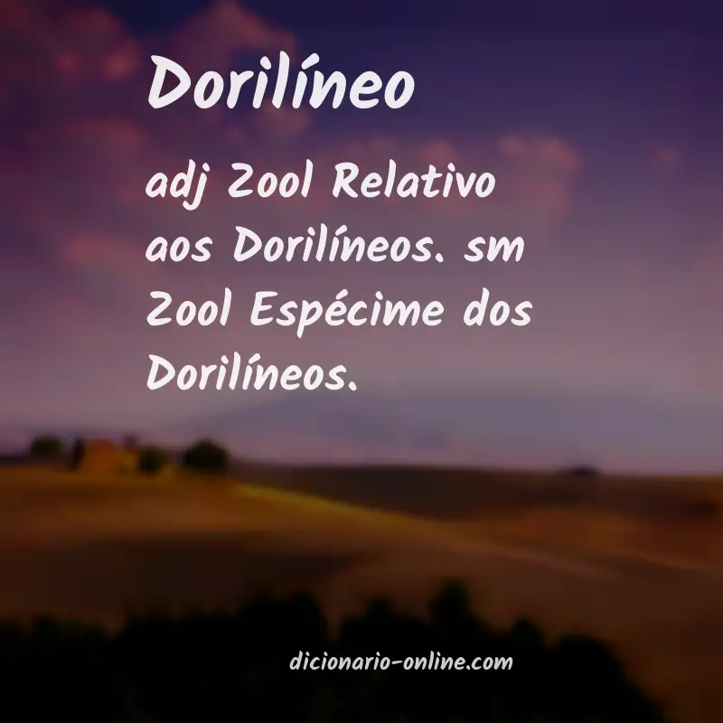 Significado de dorilíneo