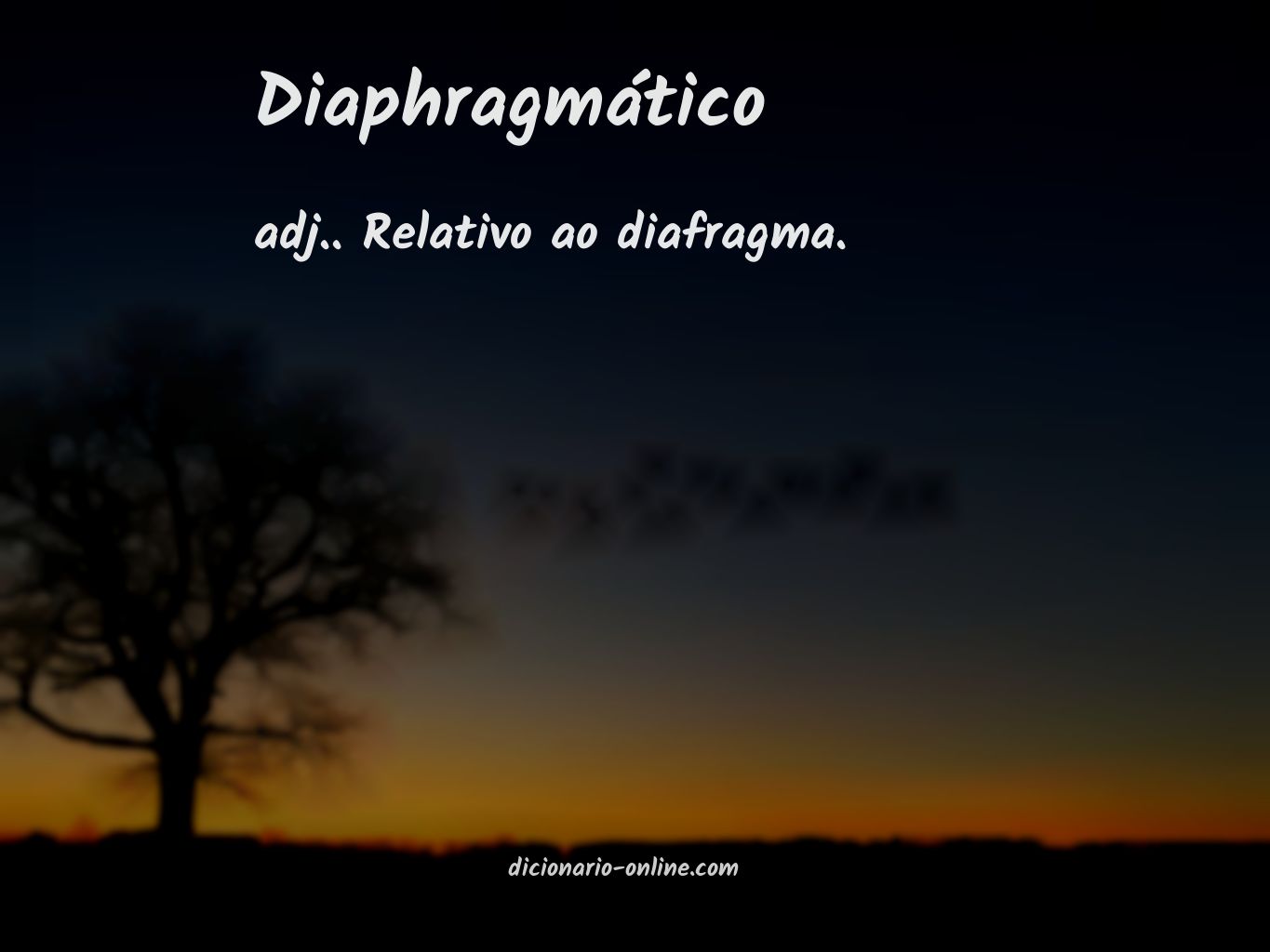 Significado de diaphragmático