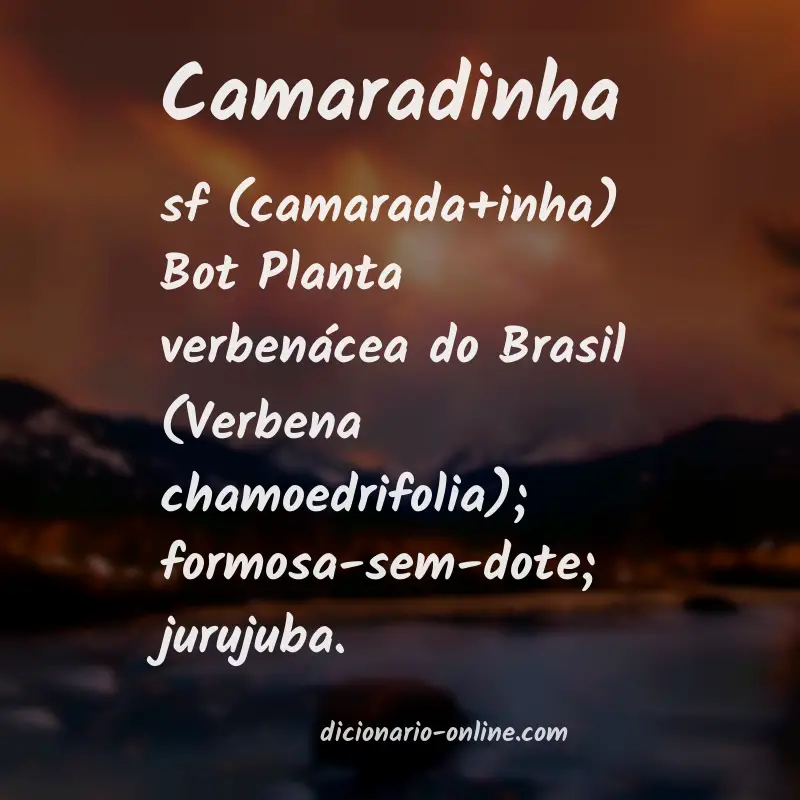 Significado de camaradinha