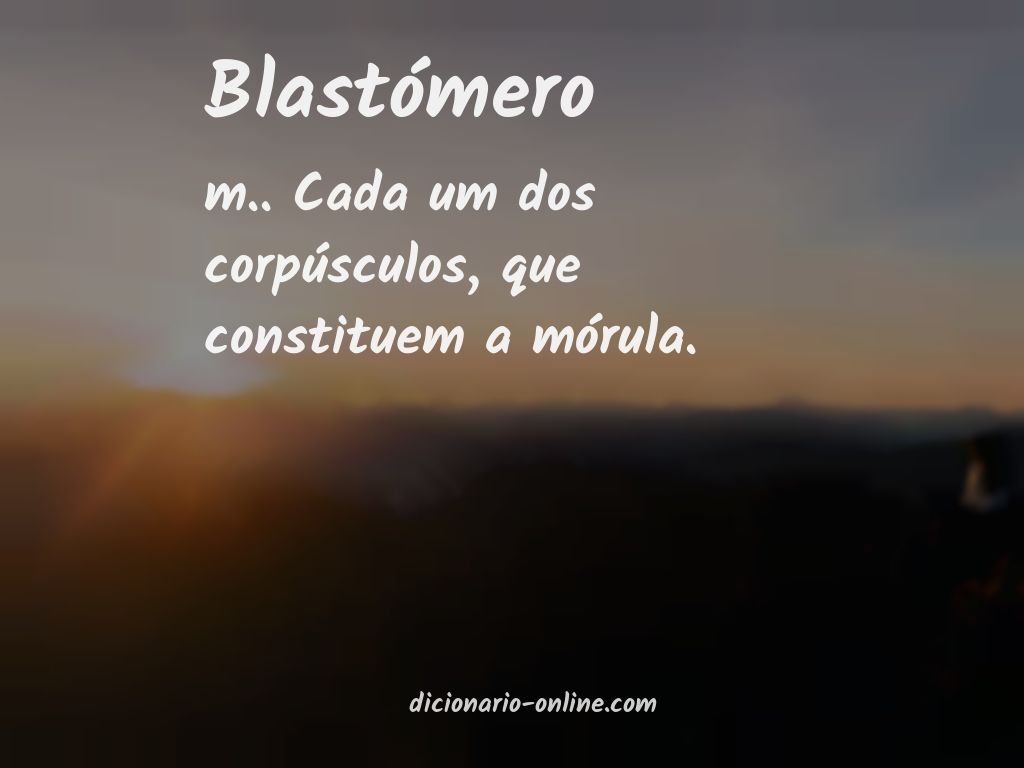 Significado de blastómero