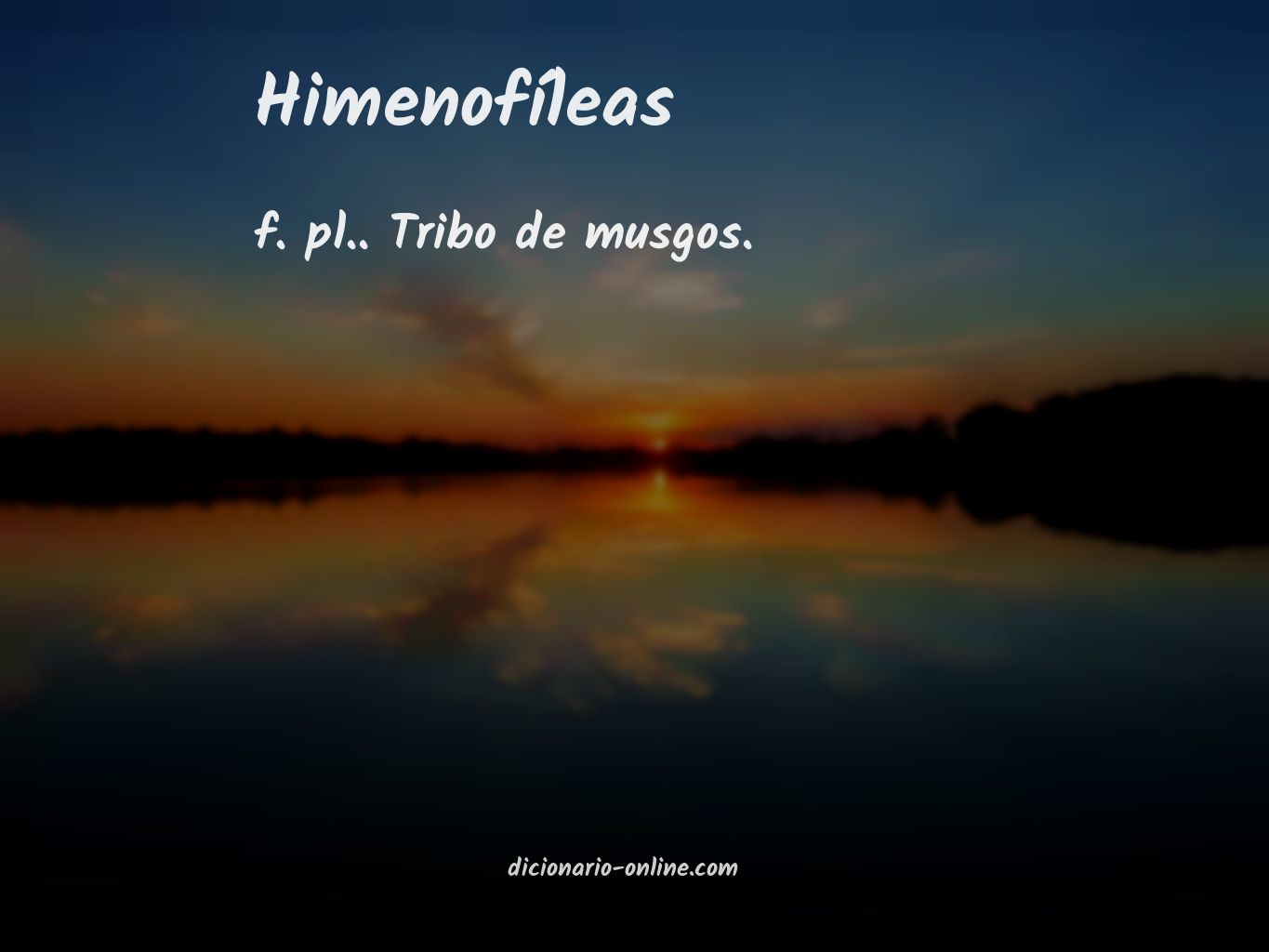 Significado de himenofíleas