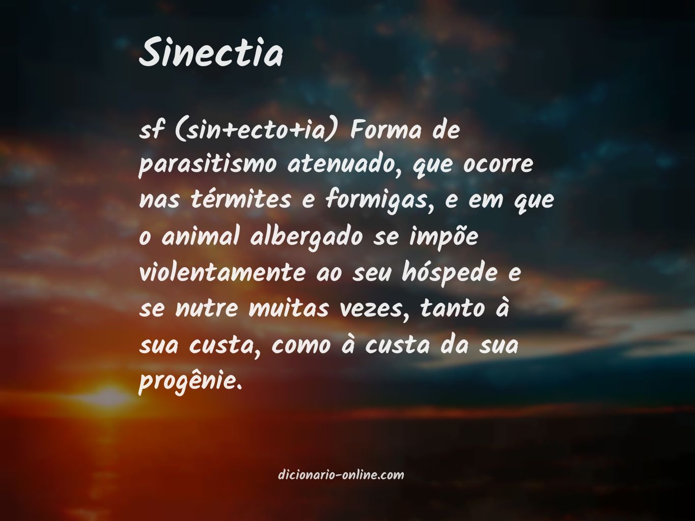 Significado de sinectia