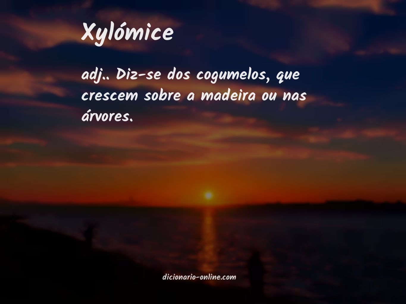 Significado de xylómice