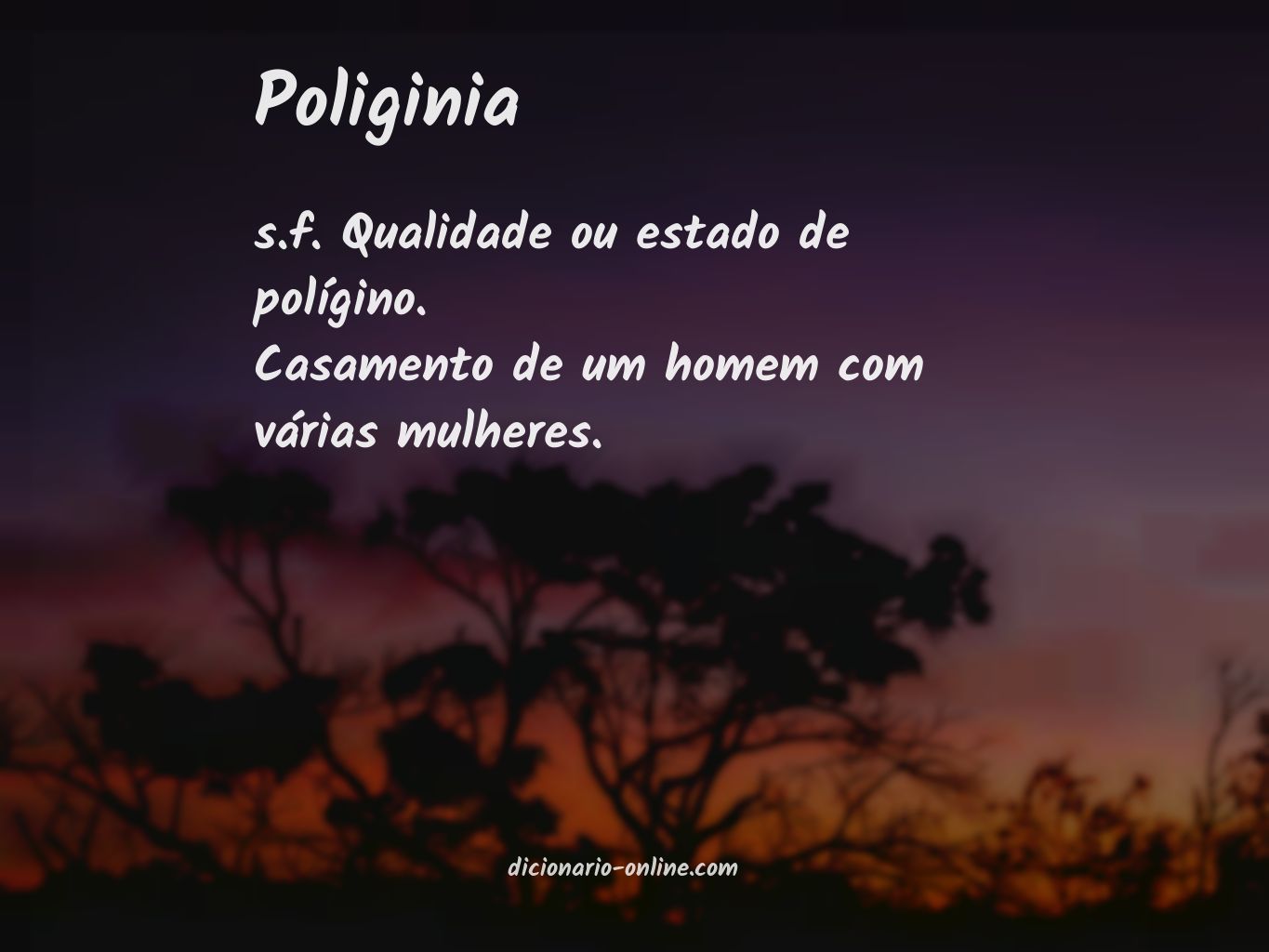 Significado de poliginia