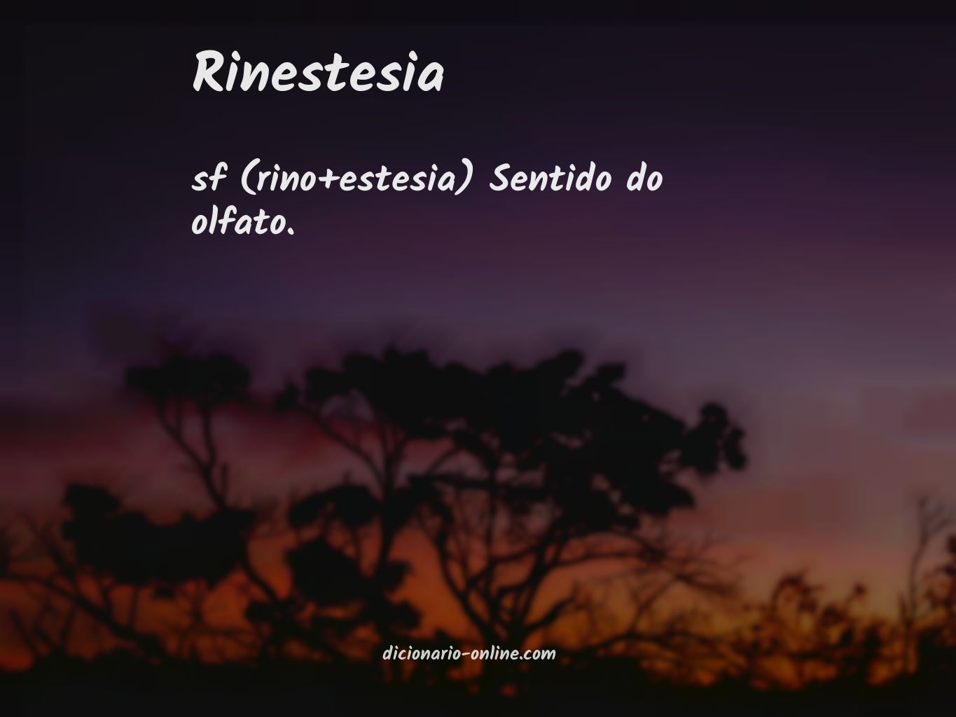 Significado de rinestesia