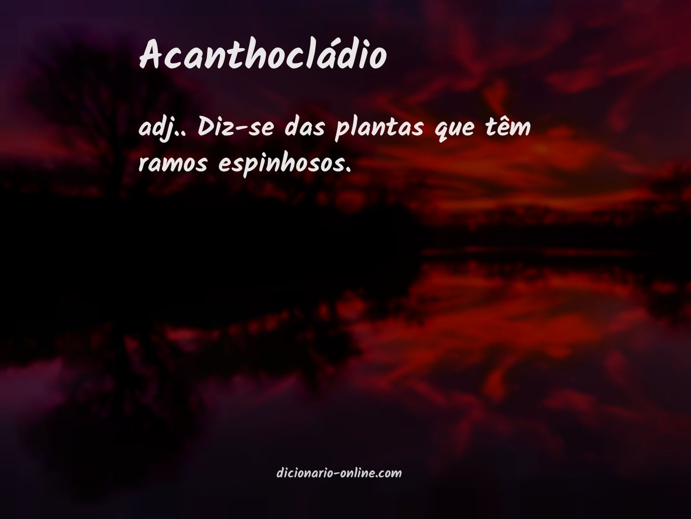 Significado de acanthocládio