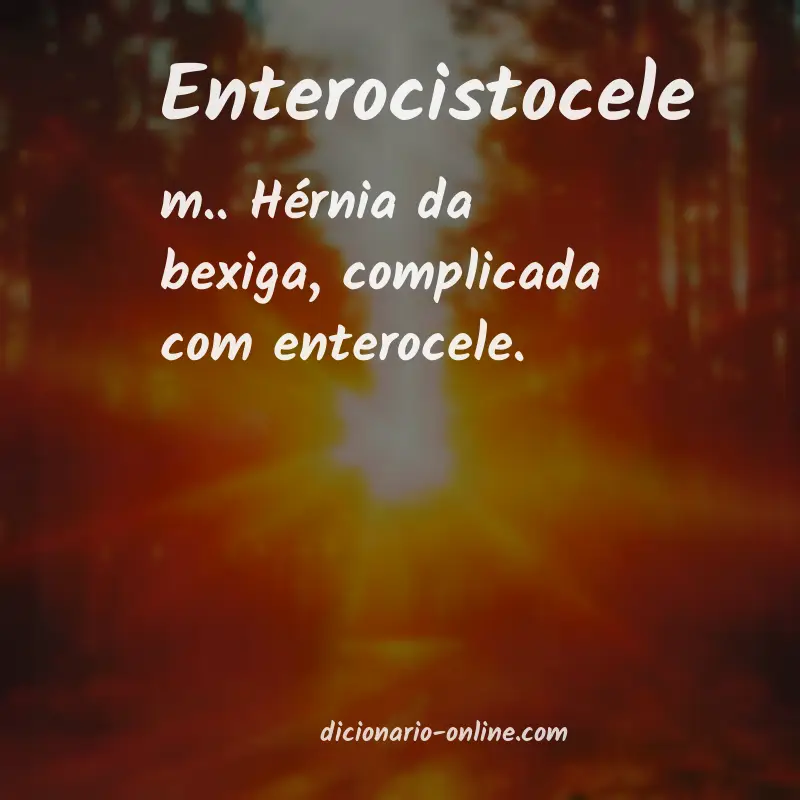 Significado de enterocistocele