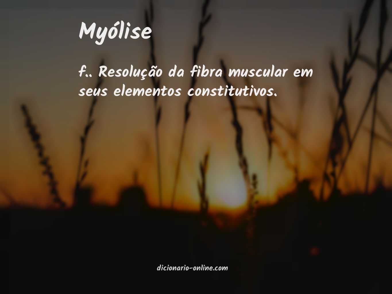 Significado de myólise