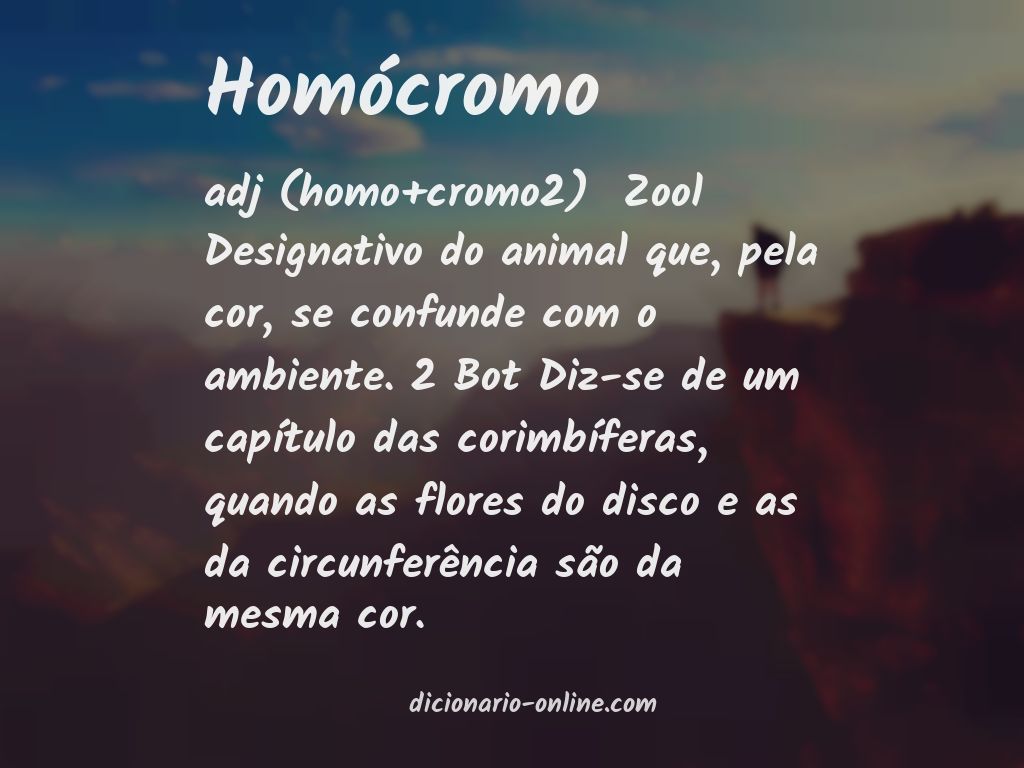Significado de homócromo