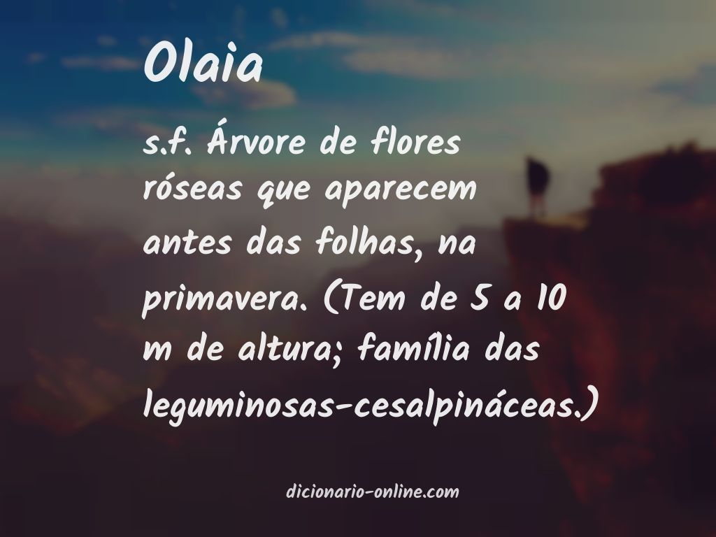 Significado de olaia