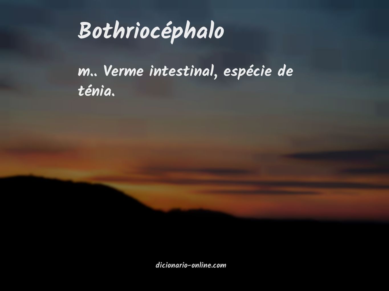 Significado de bothriocéphalo