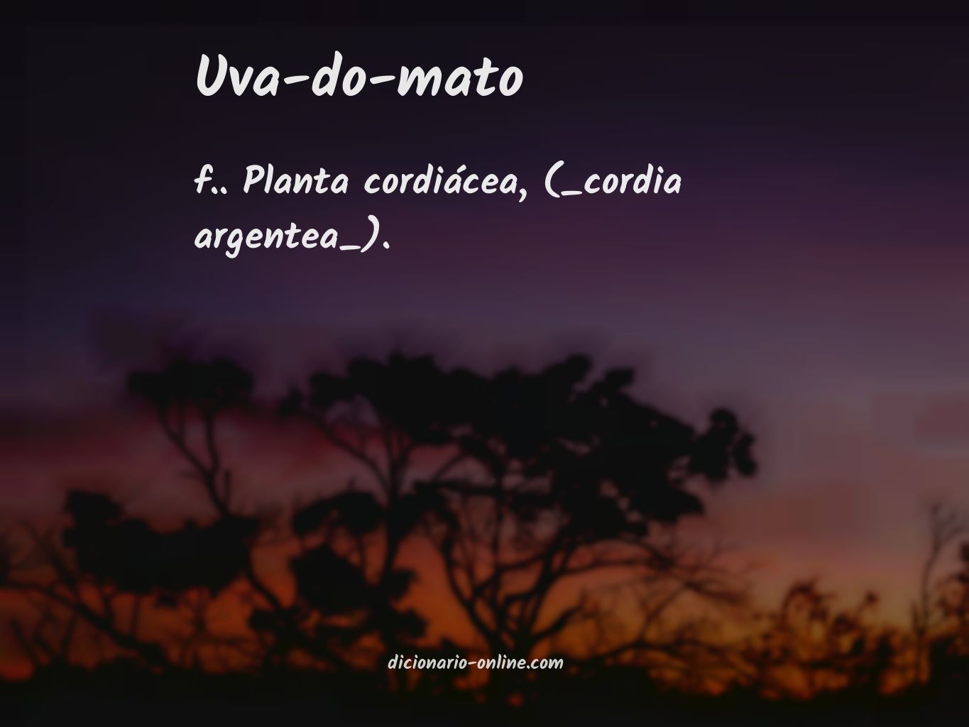 Significado de uva-do-mato