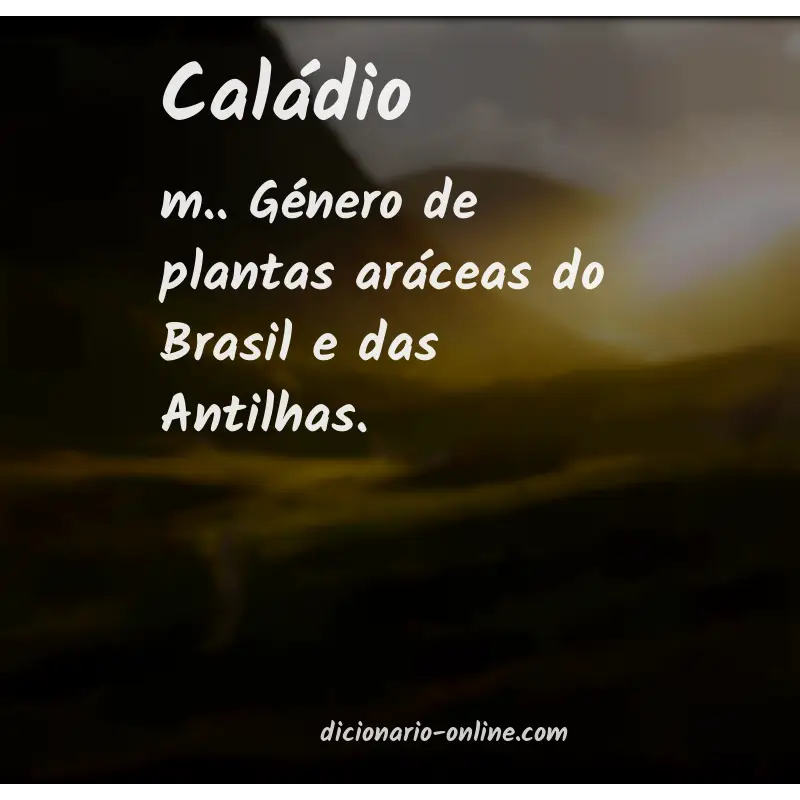 Significado de caládio