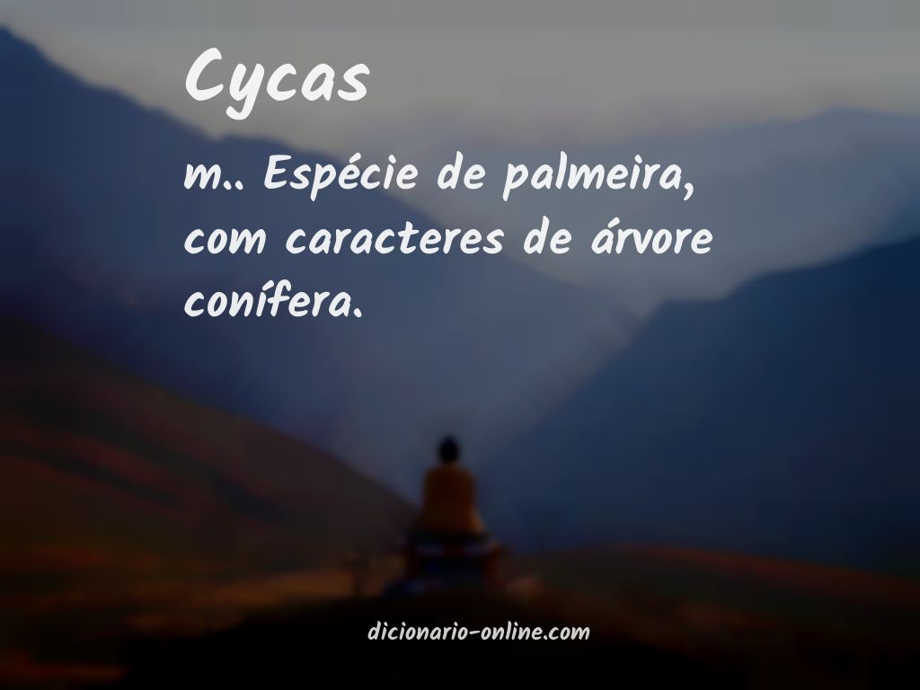 Significado de cycas