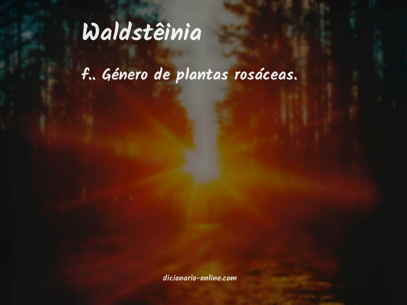 Significado de waldstêinia