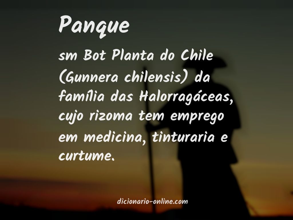 Significado de panque