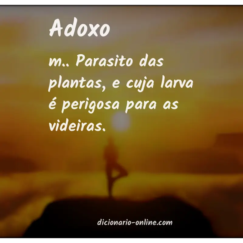 Significado de adoxo