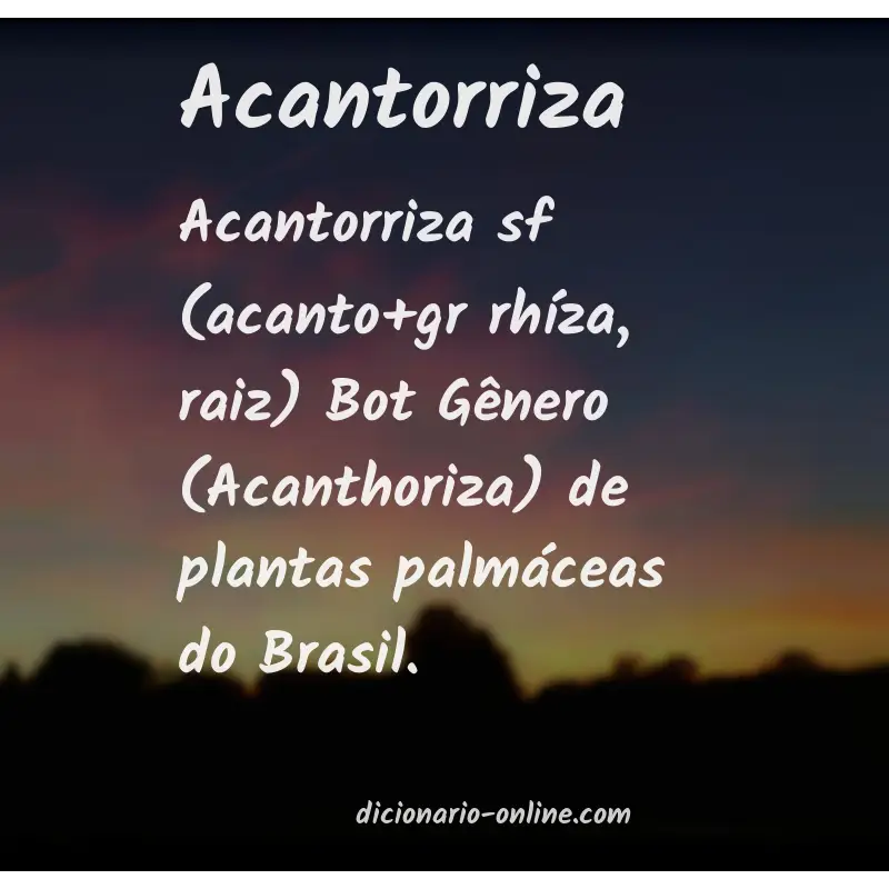 Significado de acantorriza