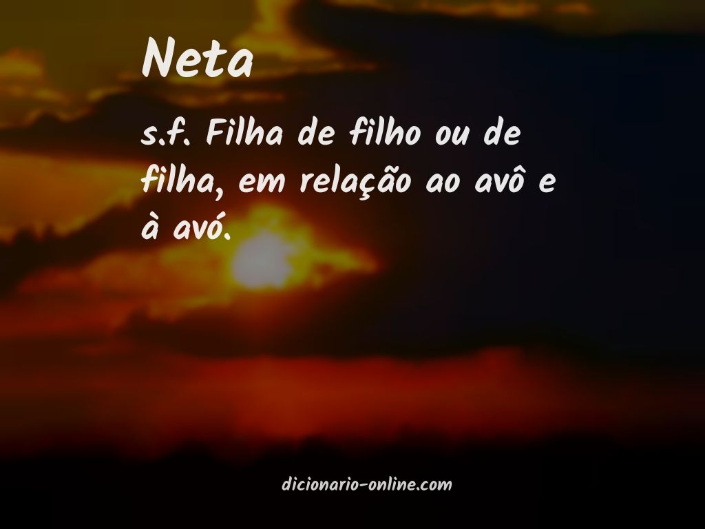 Significado de neta