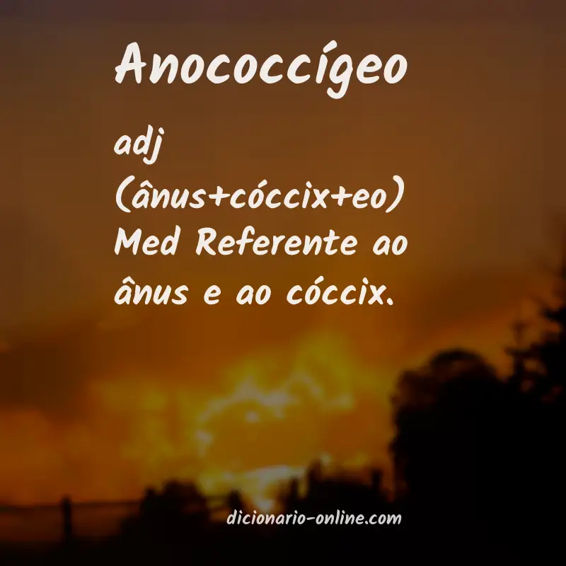 Significado de anococcígeo