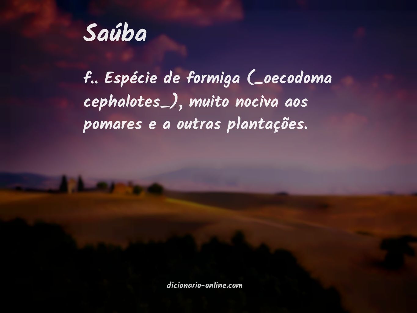 Significado de saúba