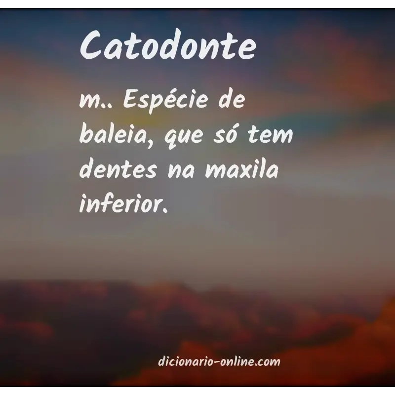 Significado de catodonte